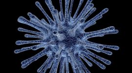 Ilustrasi Virus. /Pixabay.com/PublicDomainPictures.