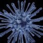 Ilustrasi Virus. /Pixabay.com/PublicDomainPictures.
