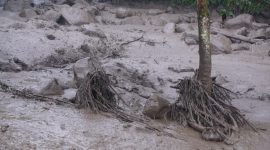 Banjir bandang di Desa Tugu Selatan Kabupaten Bogor, Provinsi Jawa Barat. /Dok. Media Apakabar/Farhan.