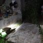 Terdampak Gempa M7,0 Kabupaten Kepulauan Talaud. /Dok. BNPB Indoneisa.