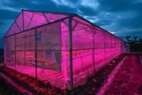 Kementerian ESDM mengapresiasi inovasi PLN dalam memanfaatkan sinar lampu ultraviolet di Sektor Pertanian. /Dok. esdm.go.id.