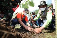 Kepala BNPB Doni Monardo saat penanaman bibit pohon di Pantai Cemara Sewu, Desa Bunton, Kecamatan Adipala, Kabupaten Cilacap, Jawa Tengah. Dok. BNPB /Dok. BNPB Indonesia