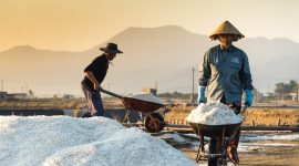 Petani Garam. /Pexels.com/Quang Nguyen Vinh
