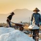 Petani Garam. /Pexels.com/Quang Nguyen Vinh
