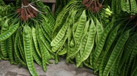 Harga petai melonjak tinggi. /Pexels.com/wo ro