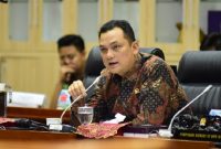 Wakil Ketua Komisi VI DPR RI, Martin Manurung. /Dok. dpr.go.id