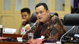 Wakil Ketua Komisi VI DPR RI, Martin Manurung. /Dok. dpr.go.id
