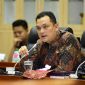 Wakil Ketua Komisi VI DPR RI, Martin Manurung. /Dok. dpr.go.id