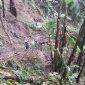 BPBD Kabupaten Gianyar juga menginformasikan satu warga luka berat dan dua warga selamat dari tanah longsor terjadi di Kabupaten Gianyar, Provinsi Bali. (Dok. BPBD Kabupaten Gianyar)
