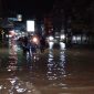 Banjir masih menggenangi wilayah Kabupaten Pulang Pisau, Provinsi Kalimantan Tengah. (Dok. BPBD Kabupaten Pulang Pisau)
