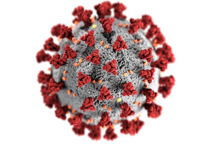 Ilustrasi Virus Corona. /Pexels.com/CDC