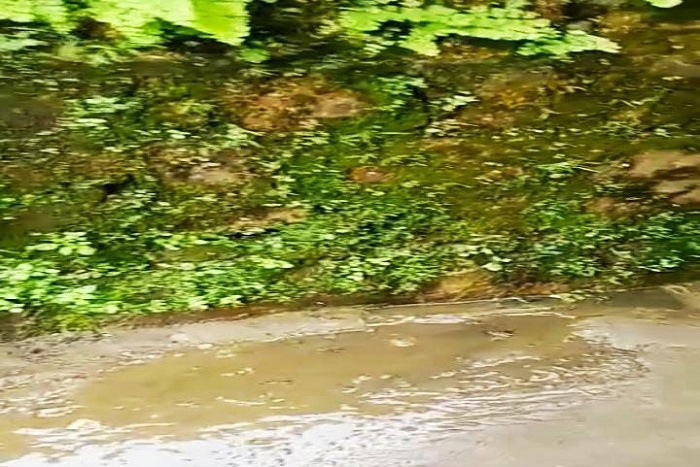 Saluran Pembuangan Limbah Perusahaan Bocor. (Dok. Apakabarbogor.com/Iwan)