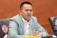 Anggota Komisi VI DPR RI Mufti Aimah Nurul Anam. (Dok. Dpr.go.id)