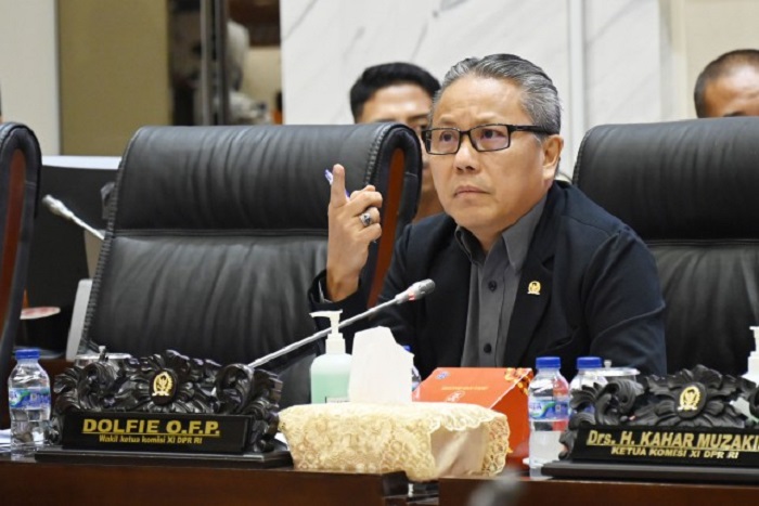Wakil Ketua Komisi XI DPR RI Dolfie. (Dok. Dpr.go.id)