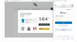 Saldo Minimal yang Harus Dimiliki Saat Menggunakan PayPal. (Dok. Paypal.com ) 
