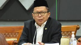 Wakil Ketua Umum PPP, Arsul Sani. (Dok. DPR.go.id) 
