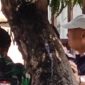 Moe Irwan Rahardja (topi putih) hanya bisa menyaksikan dari luar pagar setelah upayanya menerobos masuk ke area lahan yang telah dieksekusi digagalkan petugas. (Dok. Ferry)