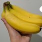 Pisang mengandung karbohidrat yang mudah dicerna, seperti glukosa, fruktosa, dan sukrosa. (Dok. Apakabarnews.com/Banny Rachman)