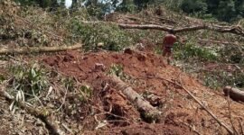 Tim BPBD dan warga evakuasi barang dari rumah rusak akibat angin kencang dan longsor di Sulawesi. (Dok. BNPB)
