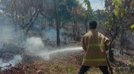 Personil BPBD Kabupaten Aceh Besar memadamkan kebakaran lahan di Kecamatan Lembah Seulawah. (BPBD Kabupaten Aceh Besar)